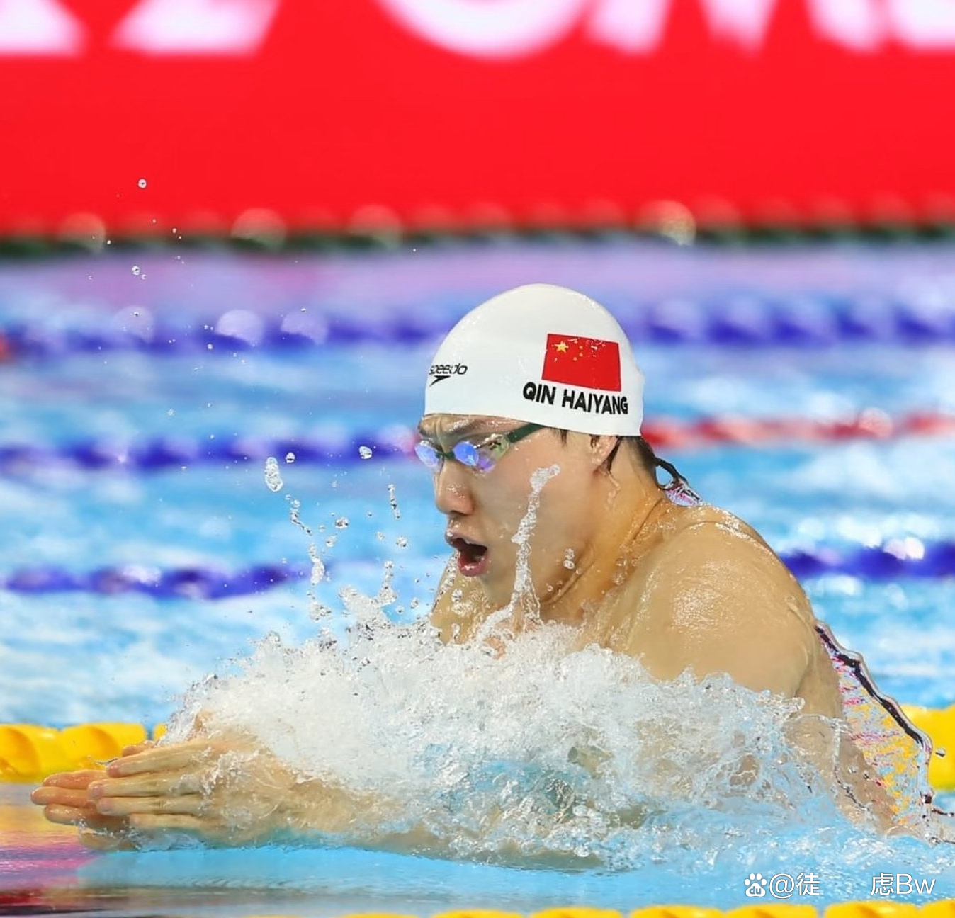 关于游泳再创历史，冠军实至名归的信息
