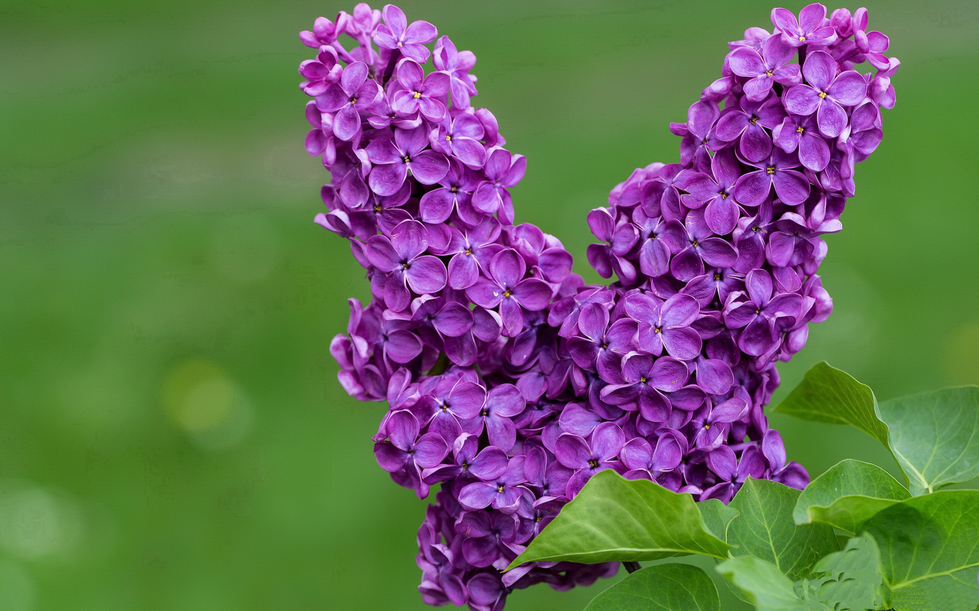 星辰为他改道，阿克与那个无法复制的总决赛之夜