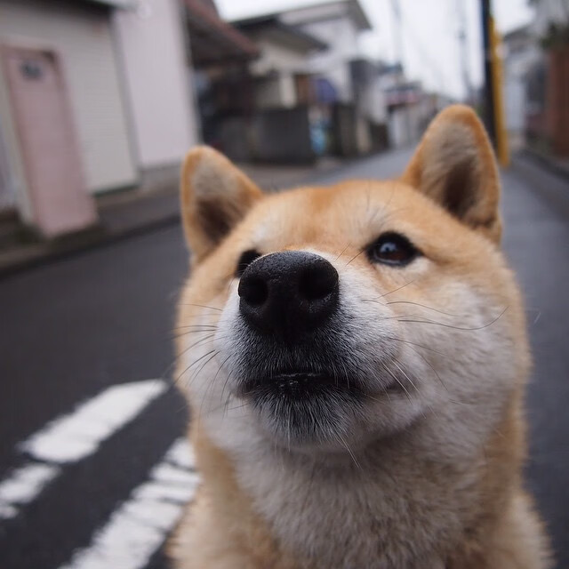 从哑火到点燃，太阳火力全开压制山西队，切特如何蜕变为关键先生