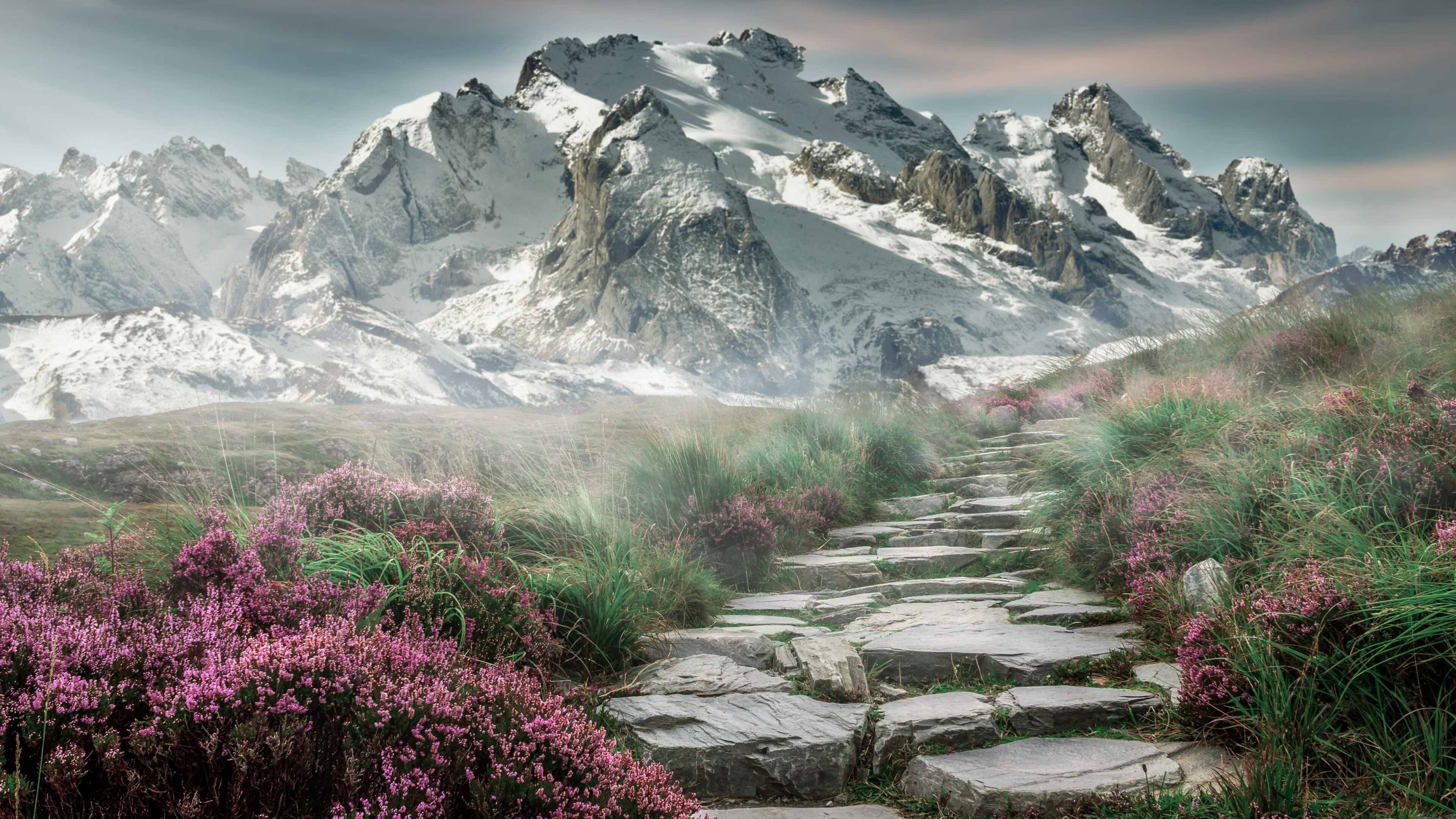 欧冠夜空下,那个希腊巨人正在密尔沃基的球场上演自己的关键战