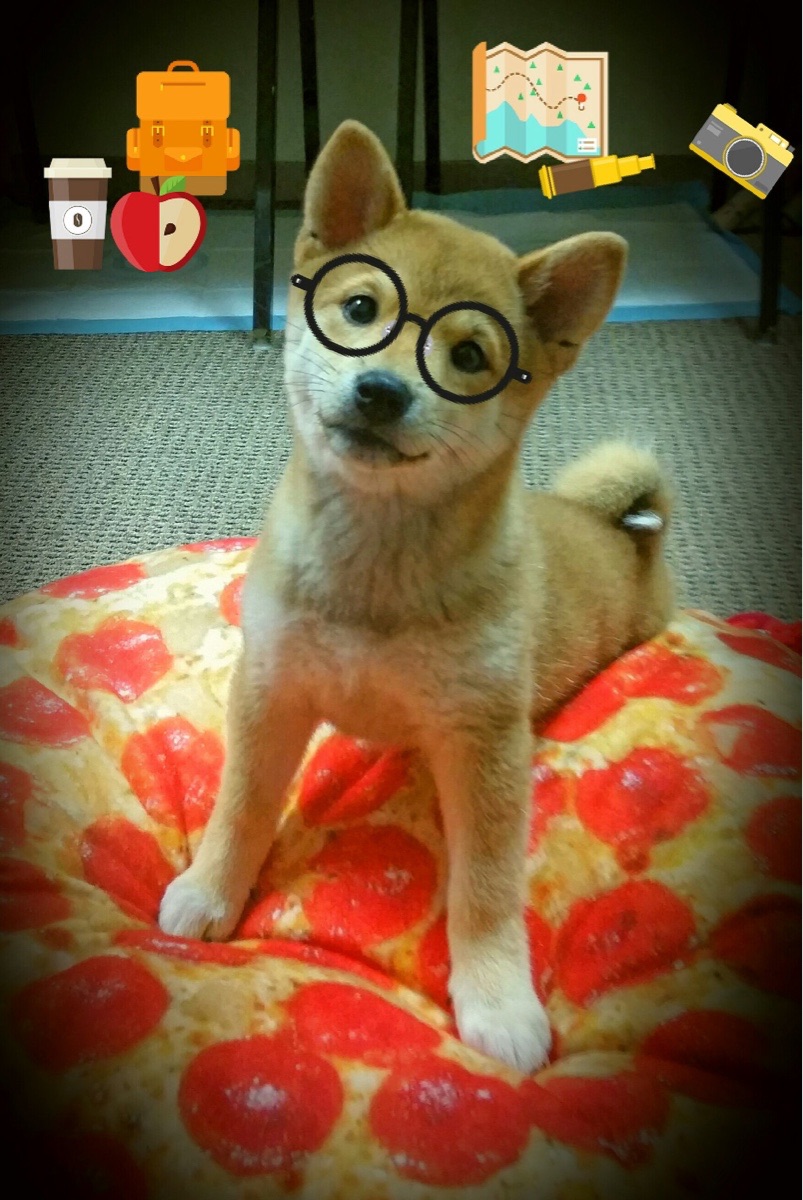 末节王者亮剑时，保罗硬仗之王的压哨审判