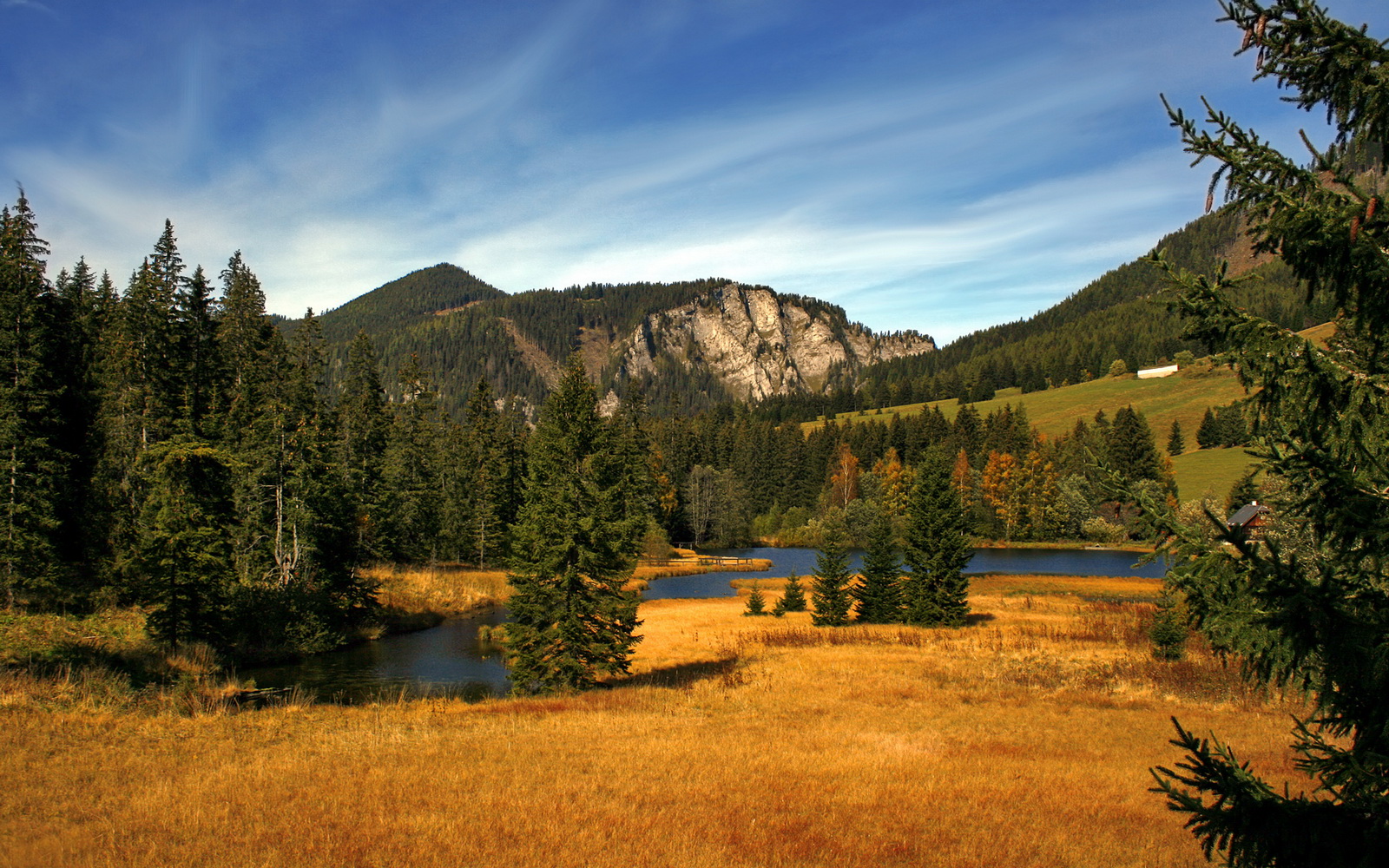 楚阿梅尼一锤定音!莱比锡红牛以高效压制击退尼日利亚旋风