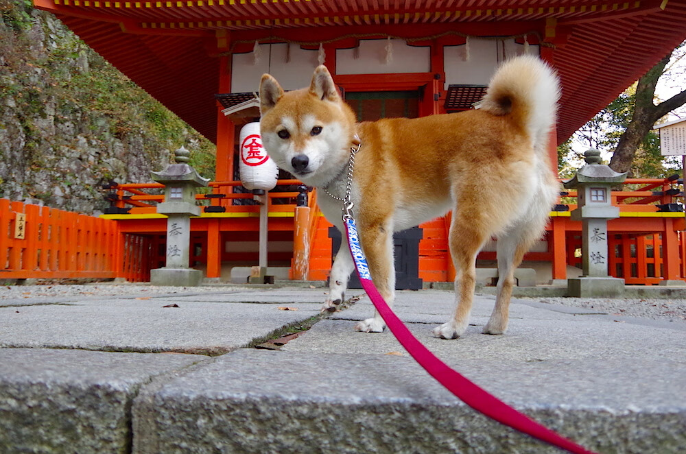 雕塑永恒之夜，黄喜灿如何将生死战镌刻为足坛唯一