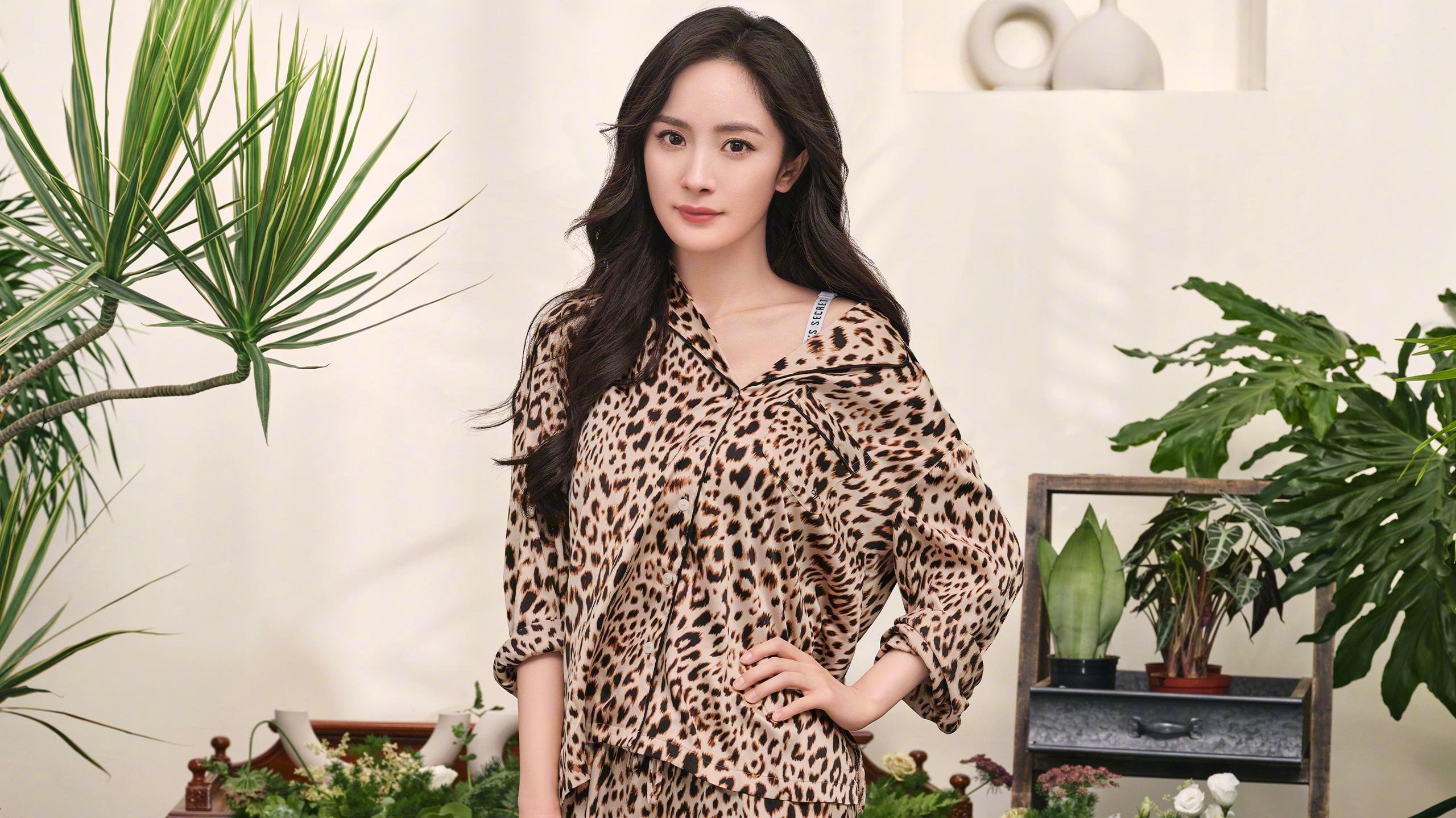 第四节魔术师，范弗利特沉默中的惊雷