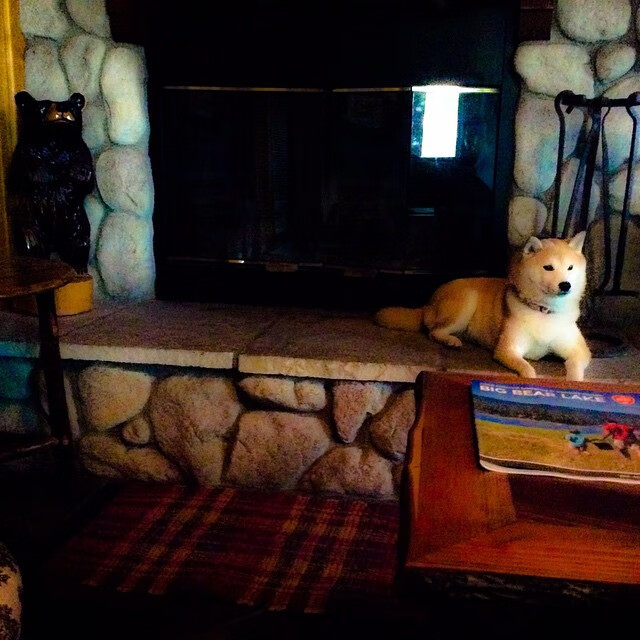 浙江与深圳的鏖战，伦纳德化身全场焦点