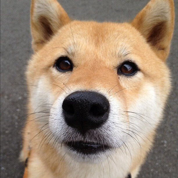 新王当立，当阿尔瓦雷斯的爆发映照韩国足球的加时奇迹