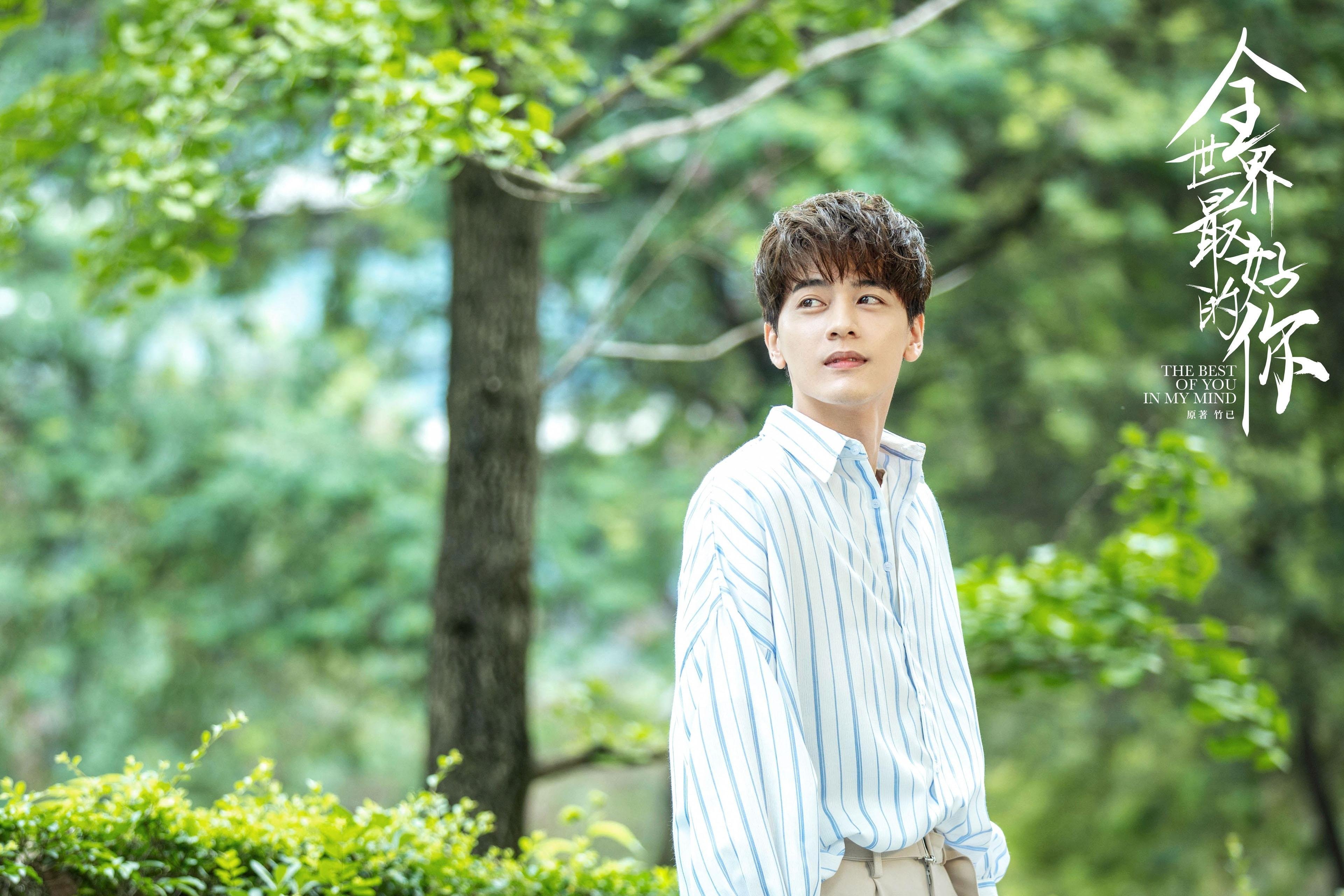 亚洲坚韧与西甲智慧,伊朗足球的血拼与卡瓦哈尔的战术接管