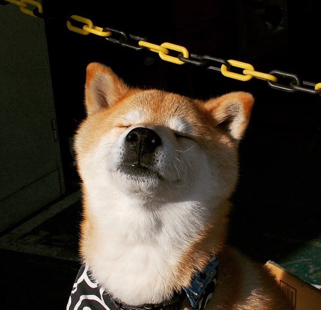 逆袭烽烟起，浙江倚天剑出鞘！末节狂澜浓眉定江山