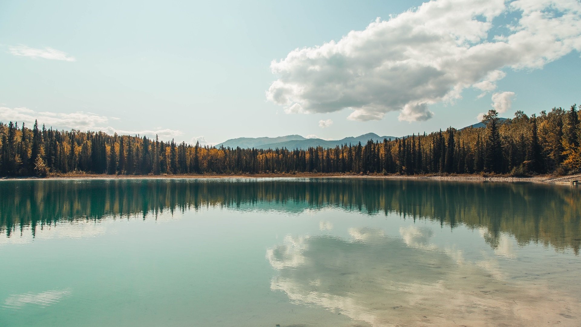 篮球世界双星闪耀，热火完胜北京队，爱德华兹德甲争冠战封神