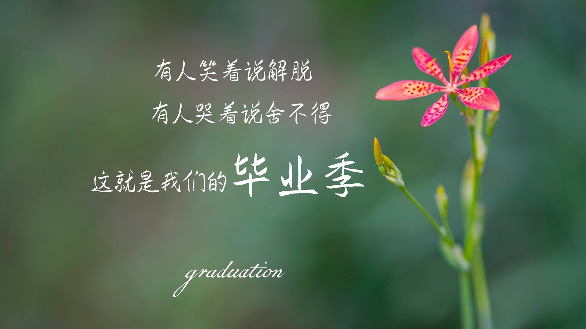 当银黑军团遇见东北虎，杰伦·格林如何点燃跨洋篮球对决