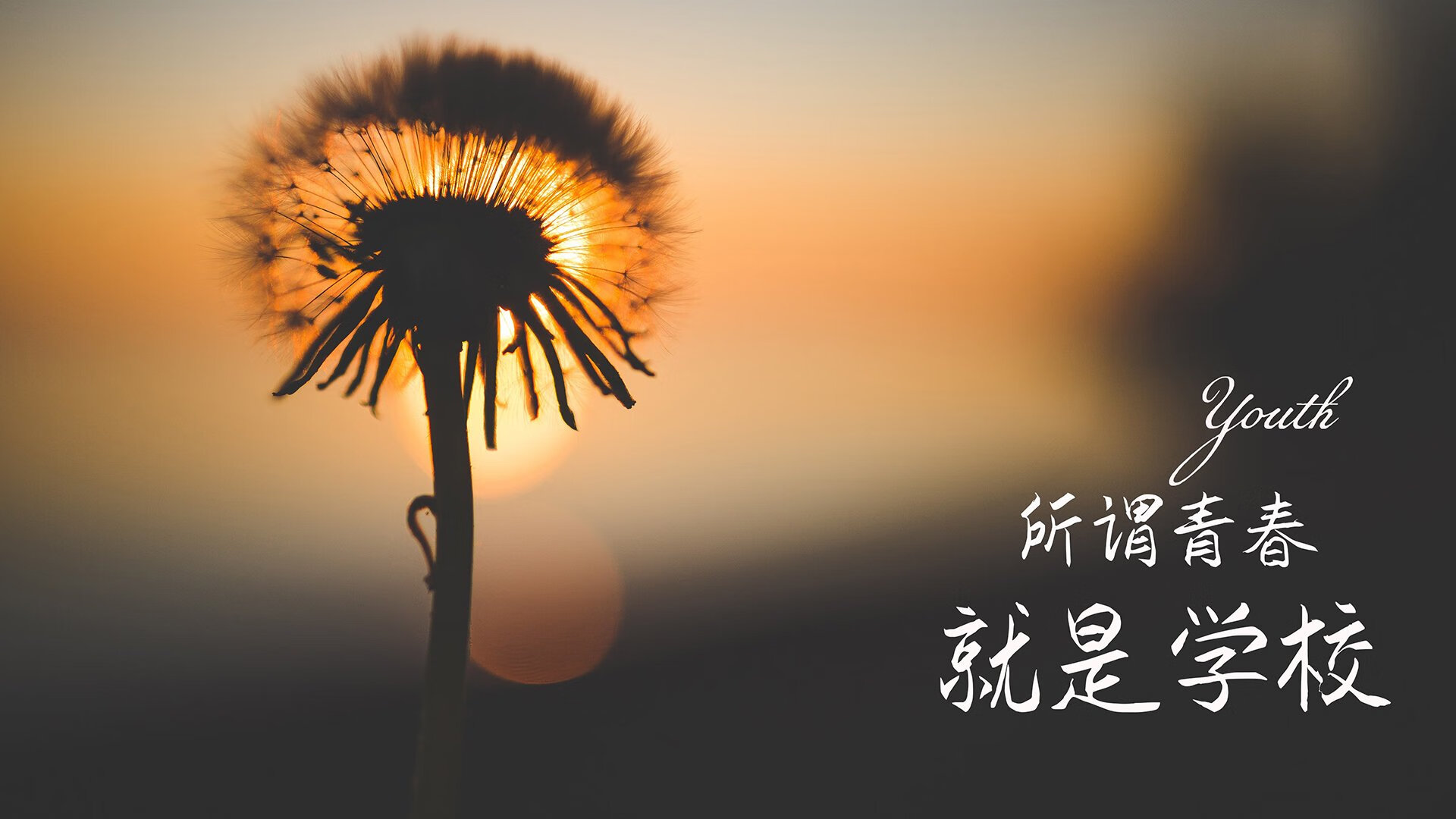 2026世界杯焦点战,尼日利亚的防守反击密码—阿方索·戴维斯一个人的狂欢