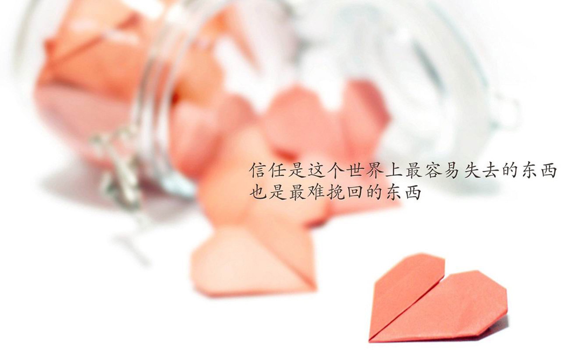 逆光的孤勇,孙兴慜的归化绝唱与2026世界杯那场不可能的亚洲奇迹